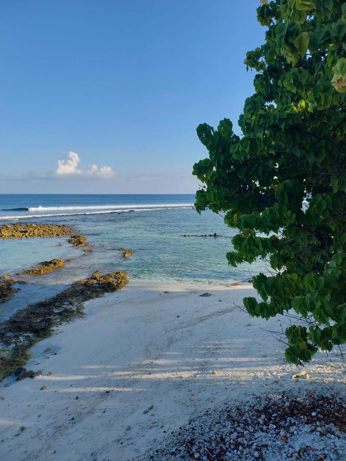 Homestay Island Life *